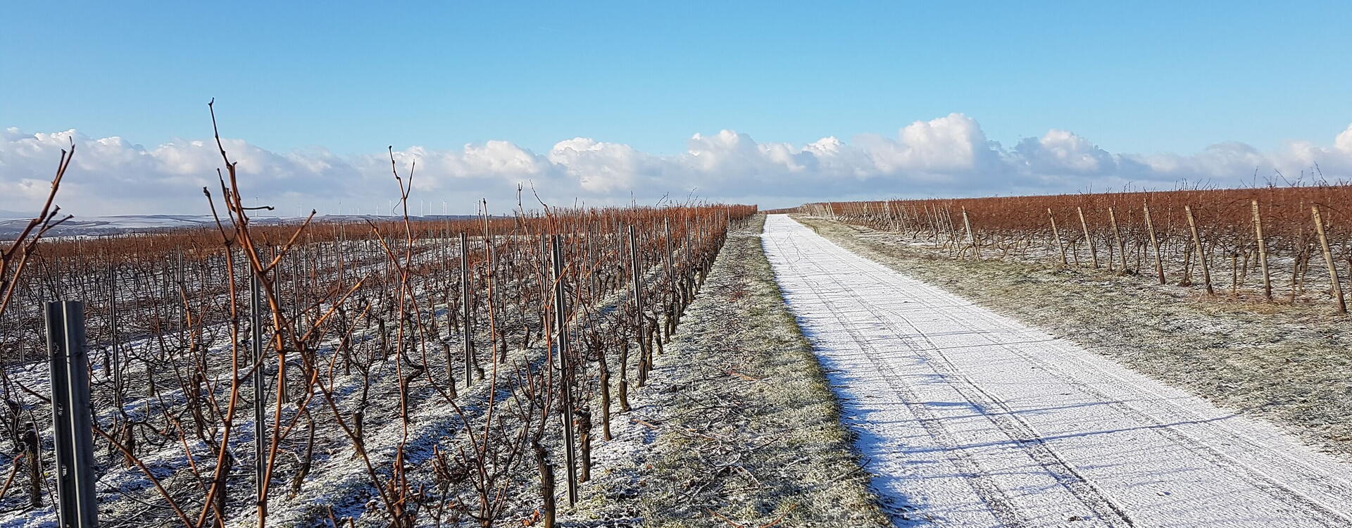 Winterwanderung auf der Hiwweltour Stadecker Warte
